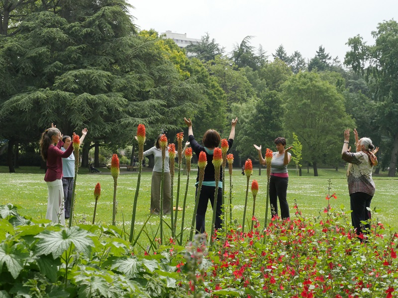 Les matinales du Qi Gong